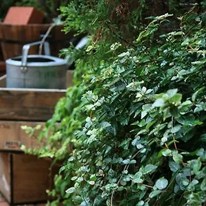 Hotel Garden